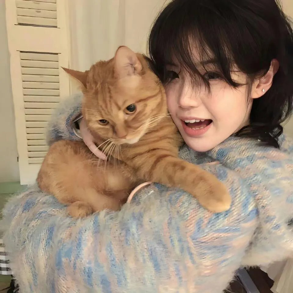 仓鼠与格蕾泰尔